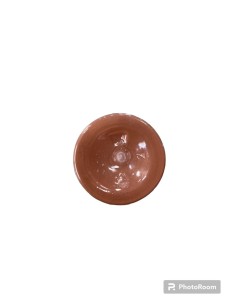 MATIZADOR  BRILLO BRONCEADO  DE 5 GR 2