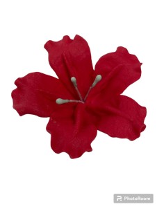 DECORACION PETUNIA GRANDE ROJA