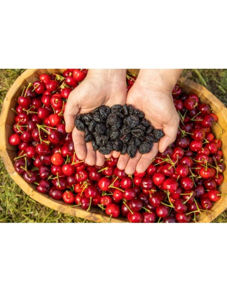 CEREZA DESHIDRATADA TIERNIZADA SIN ADITIVO DE 250GR