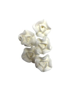 FLORES CAMELIAS BLANCAS