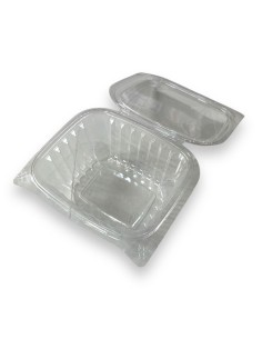 ENVASE PLASTICO CON TAPA GRANDE