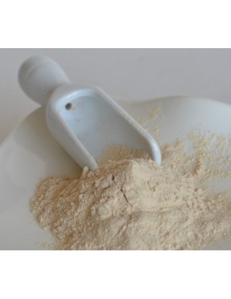 GOMA ARABIGA DE  80 GR